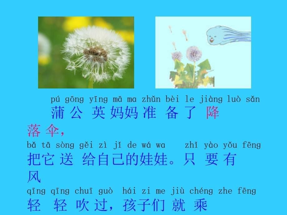 《植物妈妈有办法》课件_第5页