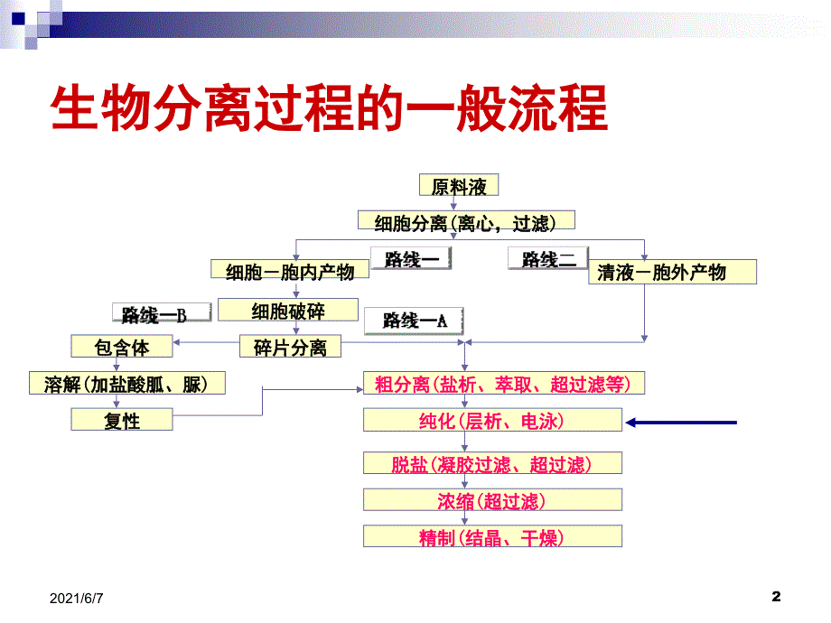 第十一章电泳和电色谱_第2页