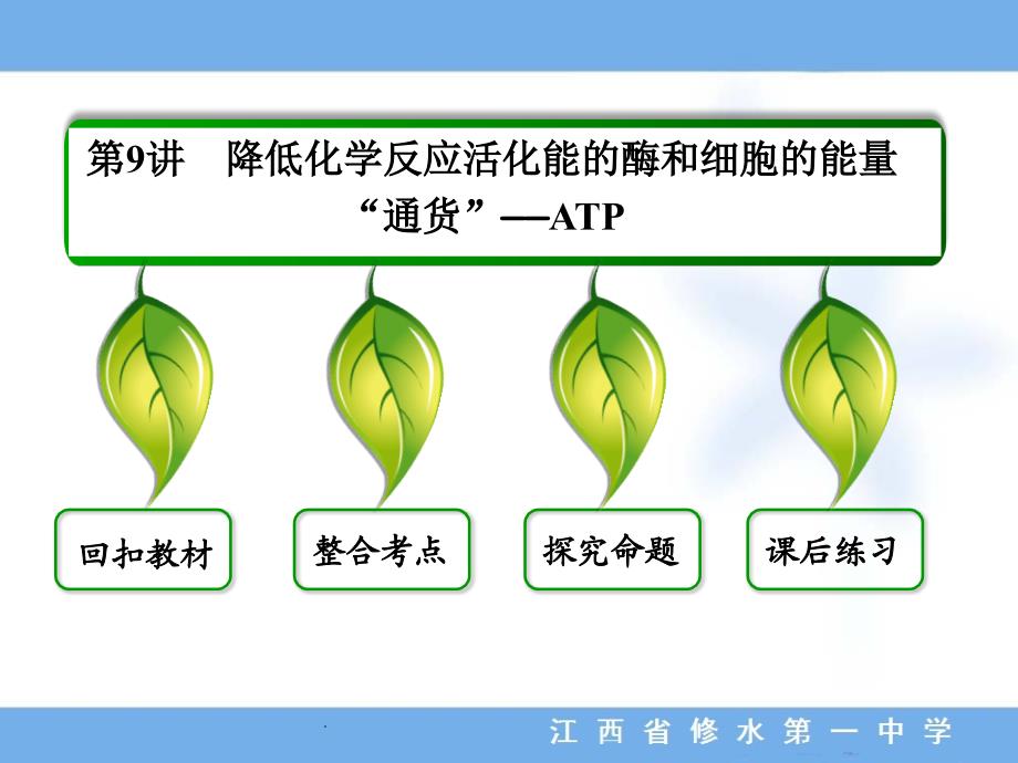 第9讲降低化学反应活化能的酶和细胞的能量通货ATP_第3页