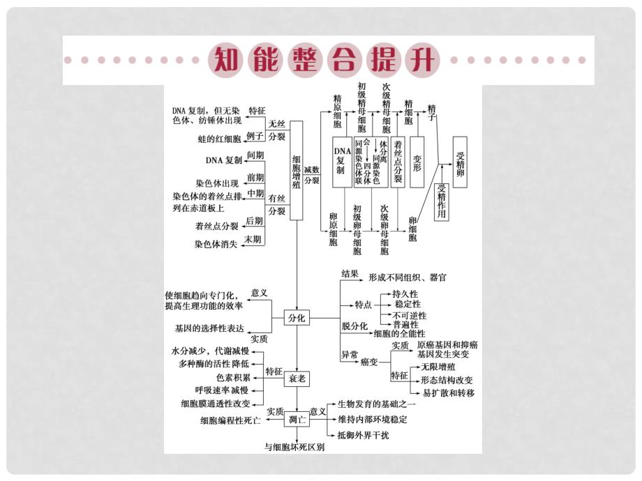 高考生物总复习 第4单元 细胞的生命历程单元能力提升课件_第2页