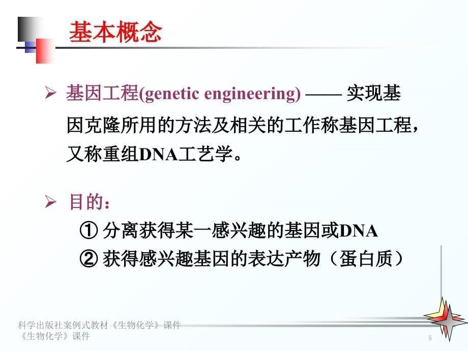 第二十章-重组DNA技术(教学)_第5页