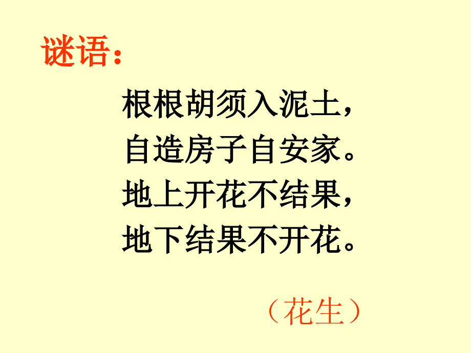 花生的故事课件_第1页