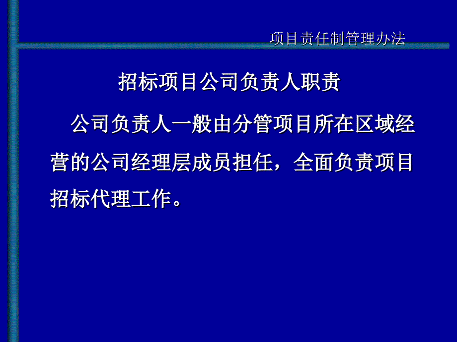 招标代理项目责任制管理办法概述31页_第4页