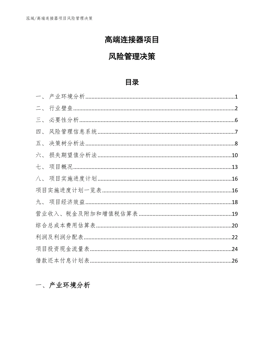 高端连接器项目风险管理决策【范文】_第1页