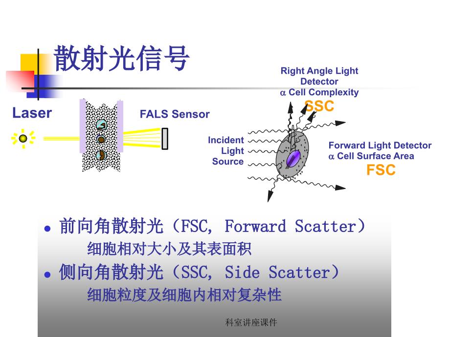 科室讲座课件_第4页