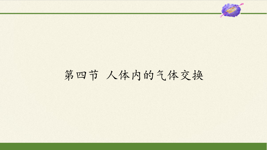 苏教版生物七年级下册 第十章 第四节 人体内的气体交换课件(共13张PPT)_第1页