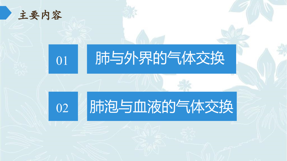 苏教版生物七年级下册 第十章 第四节 人体内的气体交换课件(共13张PPT)_第3页