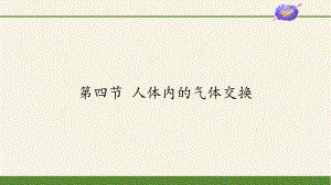 苏教版生物七年级下册 第十章 第四节 人体内的气体交换课件(共13张PPT)