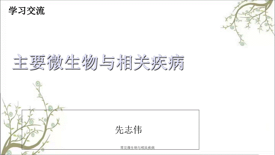 常见微生物与相关疾病课件_第1页