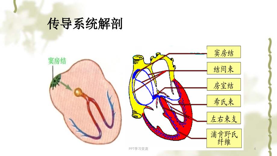 常见心律失常的分析课件_第4页