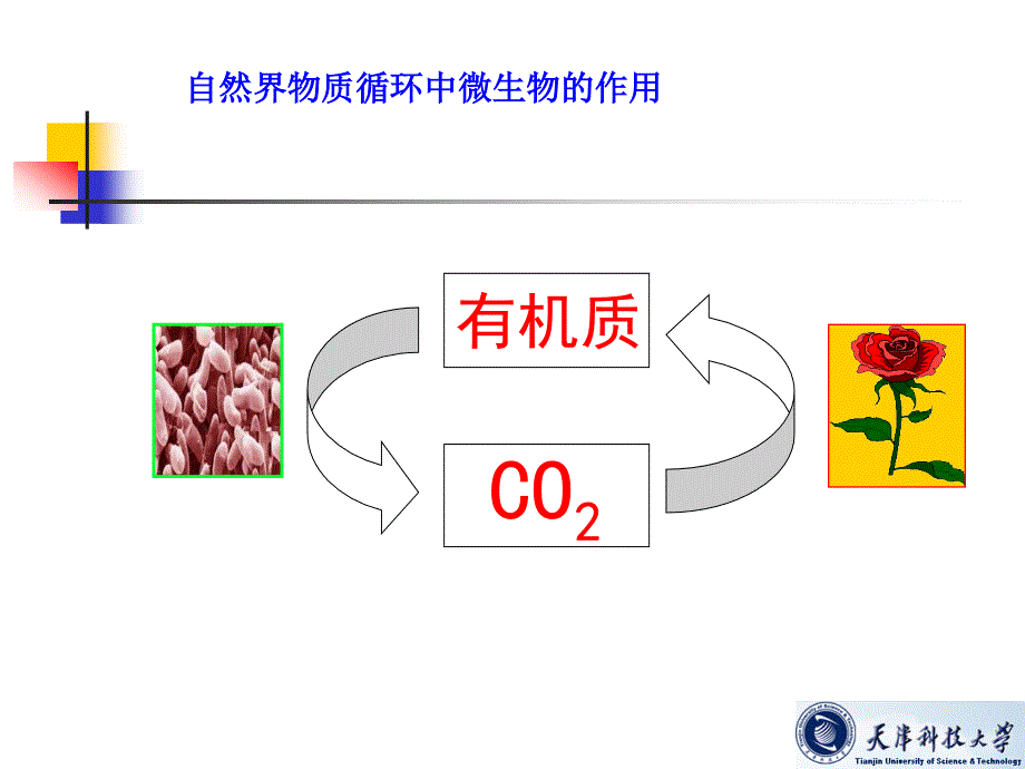 污染控制二章3ppt课件_第3页