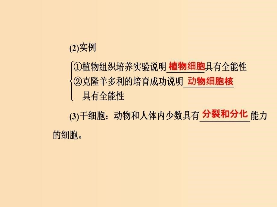 2019版高考生物总复习 第四单元 细胞的生命历程 第3讲 细胞的分化、衰老、凋亡和癌变课件.ppt_第5页