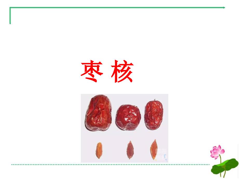 28课枣核名师教学课件人教部编版语文三年级下册_第2页