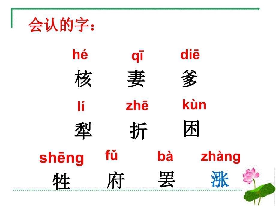 28课枣核名师教学课件人教部编版语文三年级下册_第5页