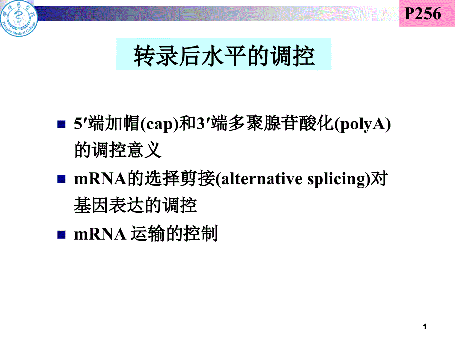 -核酸分子杂交-_第1页