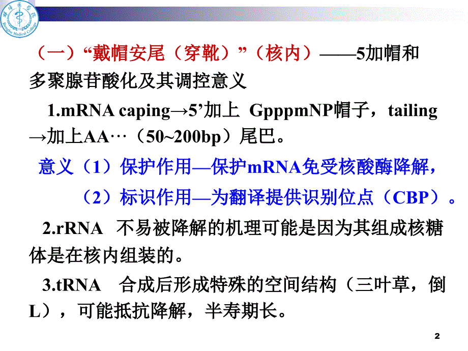 -核酸分子杂交-_第2页