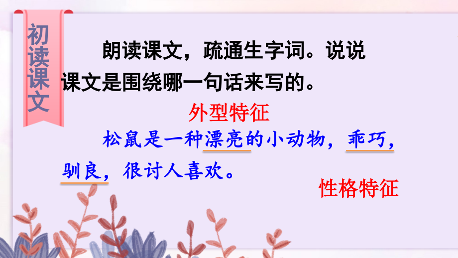 最新部编人教版五年级上册语文《松鼠》课件_第3页