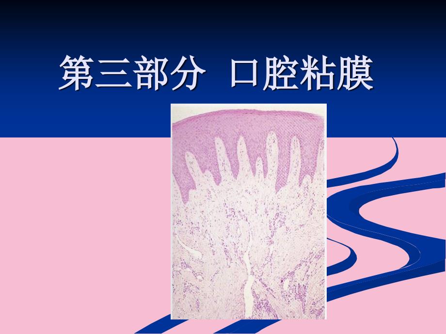 部分口腔粘膜ppt课件_第1页