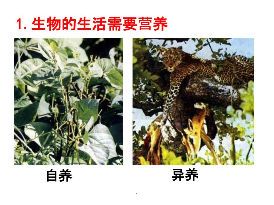 生物和生物圈_第3页