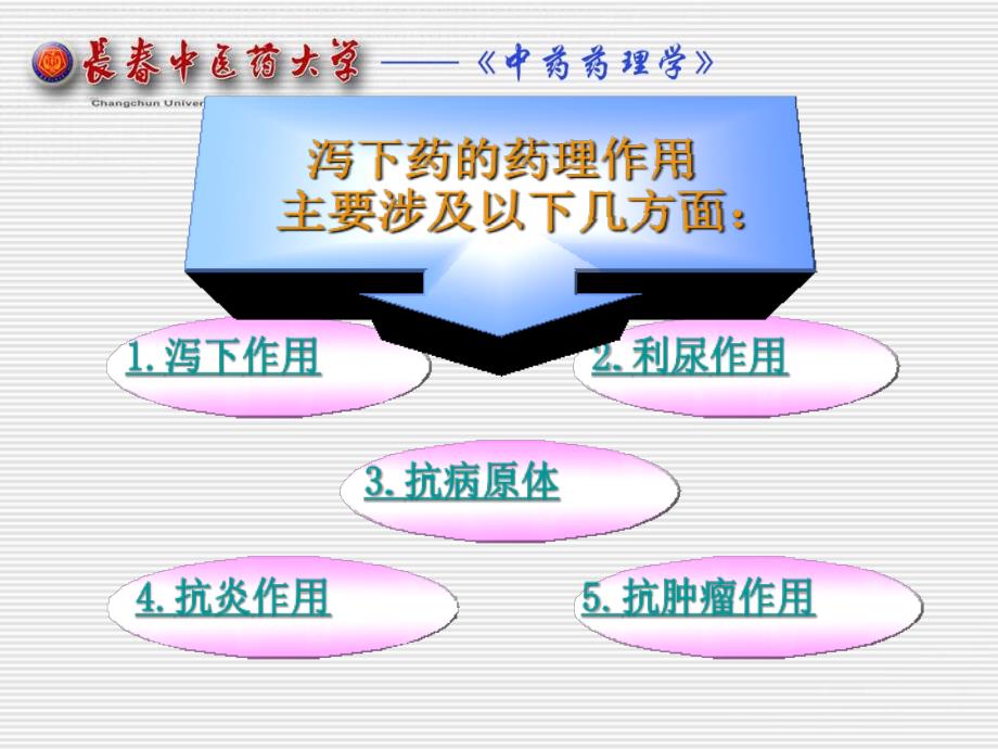 七章节泻下药_第3页