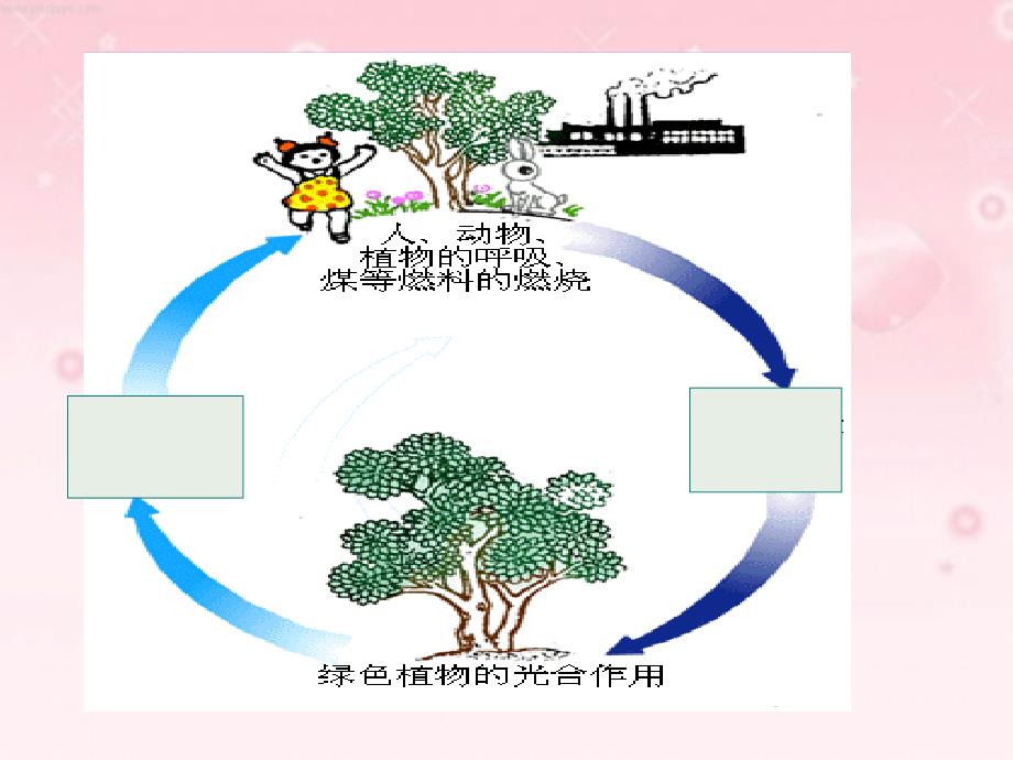 二氧化碳制法的研究_第2页