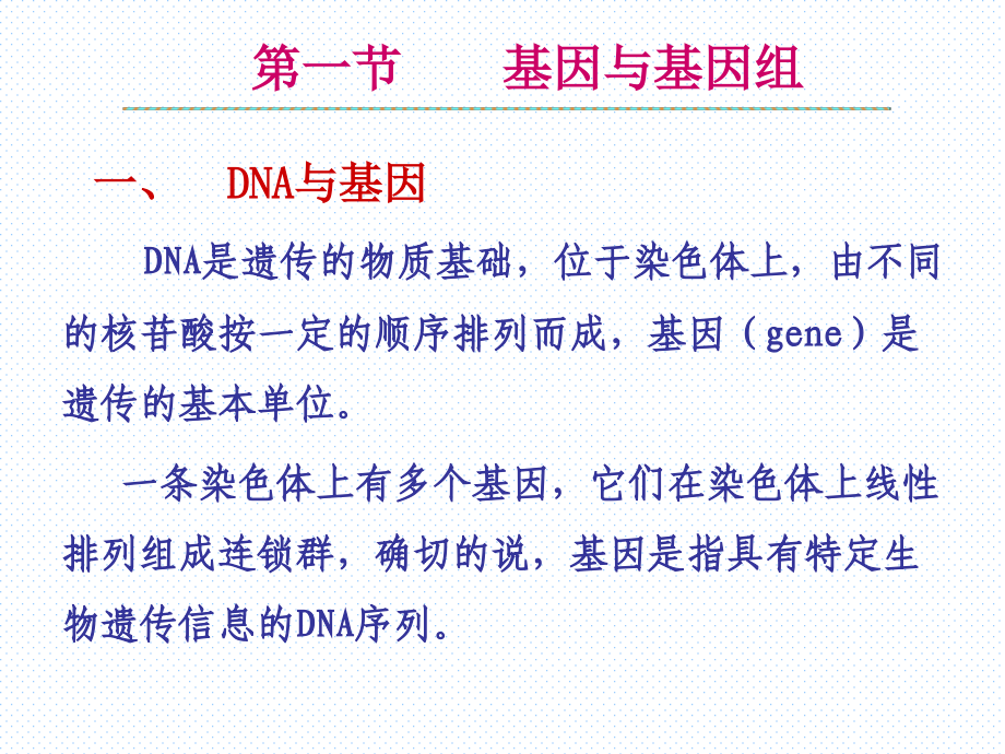 动物生物化学基因表达的调节课件_第2页