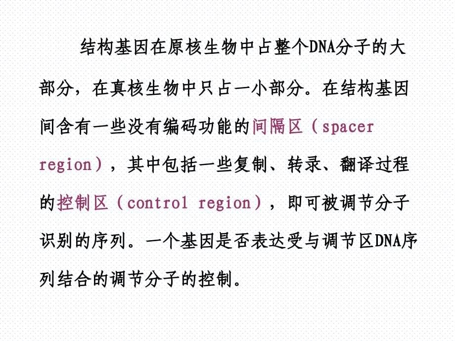 动物生物化学基因表达的调节课件_第5页