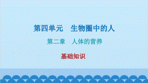 人教版生物七年级下册 第二章 人体的营养 复习课件（共12张PPT）