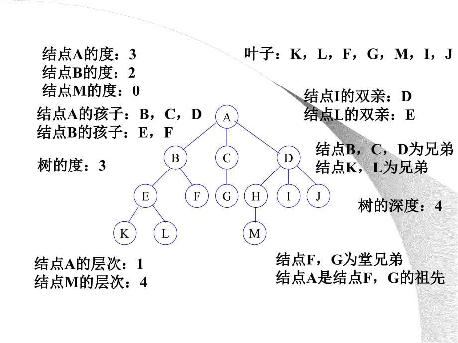 第6章树和二叉树1树的定义和性质_第5页