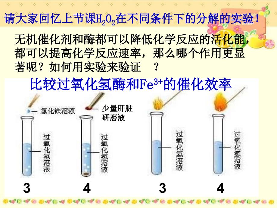 第二讲酶的特性_第3页