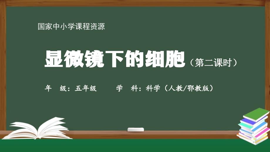 最新人教版五年级科学上册《显微镜下的细胞》精品课件(第二课时)_第1页