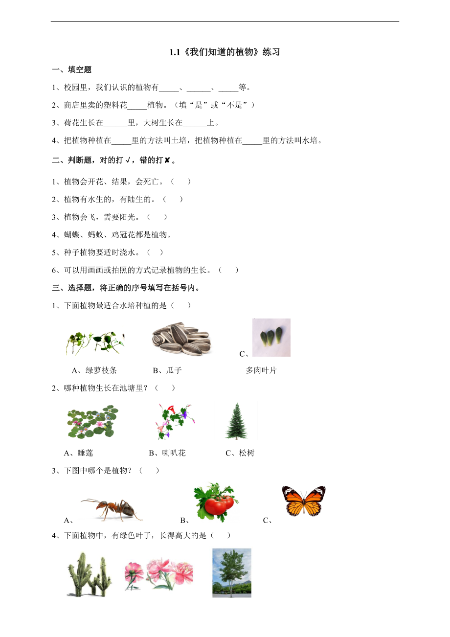 最新编教科版小学一年级科学上册《我们知道的植物》练习_第1页