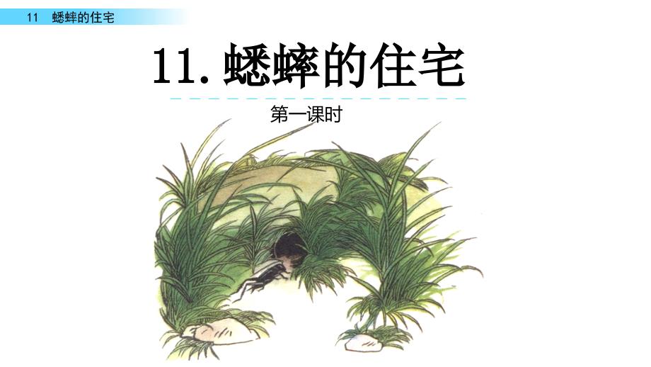 2022年新编人教部编版四年级语文上册《蟋蟀的住宅》精品课件_第1页
