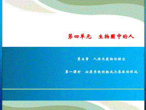 人教版生物七年级下册 第4单元 第5章人体内废物的排出（第课时）：泌尿系统的组成与尿液的形成 课件(共17张PPT)