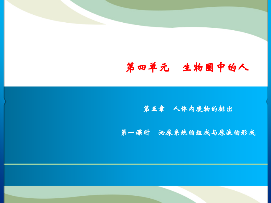 人教版生物七年级下册 第4单元 第5章人体内废物的排出（第课时）：泌尿系统的组成与尿液的形成 课件(共17张PPT)_第1页