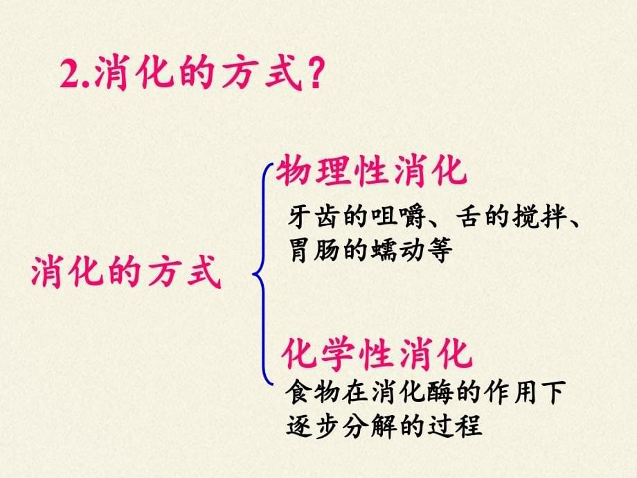 苏教版生物七年级下册 第九章 第二节 人体的消化与吸收课件(共13张PPT)_第5页