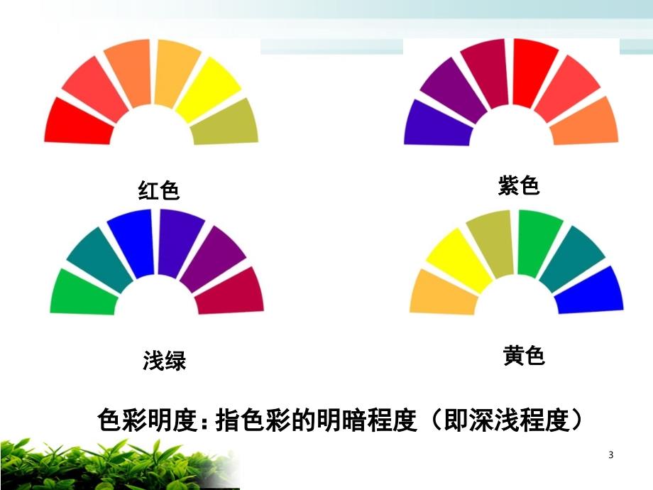 第八次课色彩的纯度和明度ppt课件_第3页