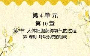 北师大版生物学七年级下册第10章人体的能量供应第1课时呼吸系统 的组成课件(共17张PPT)