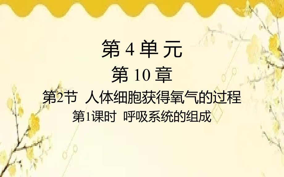 北师大版生物学七年级下册第10章人体的能量供应第1课时呼吸系统 的组成课件(共17张PPT)_第1页