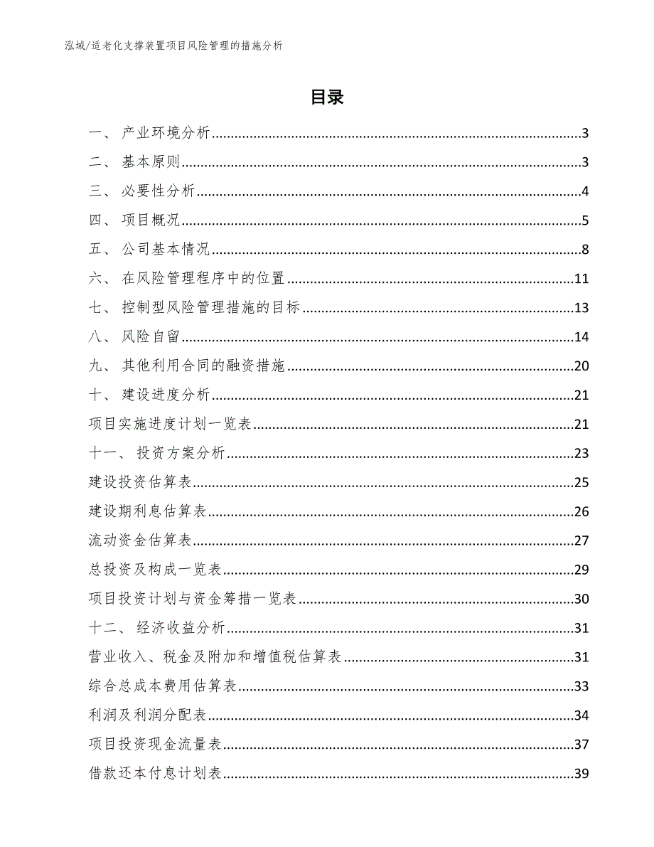 适老化支撑装置项目风险管理的措施分析（参考）_第2页