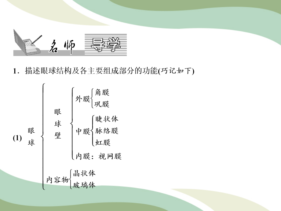 人教版生物七年级下册 第4单元 第6章 第1节 　人体对外界环境的感知（第1课时）：眼和视觉 课件(共19张PPT)_第2页