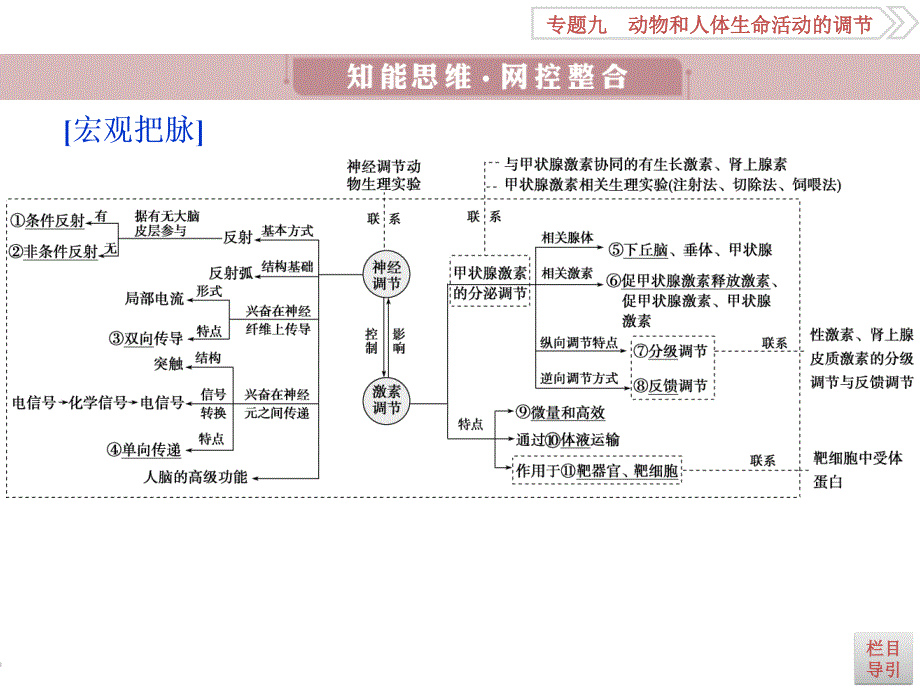 生物第二轮复习第1部分专题九_第3页