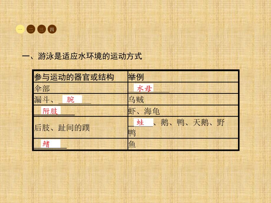 初中八年级生物上册151动物运动的方式名师优质课件新版北师大版_第4页