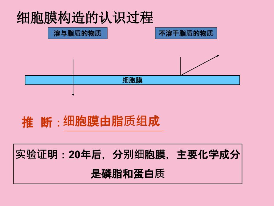 中图版高中生物必修一3.1.1第一节细胞膜的结构与功能ppt课件_第3页