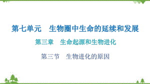 人教版生物八年级下册 第七单元第三章 第三节生物进化的原因习题课件(共19张PPT)