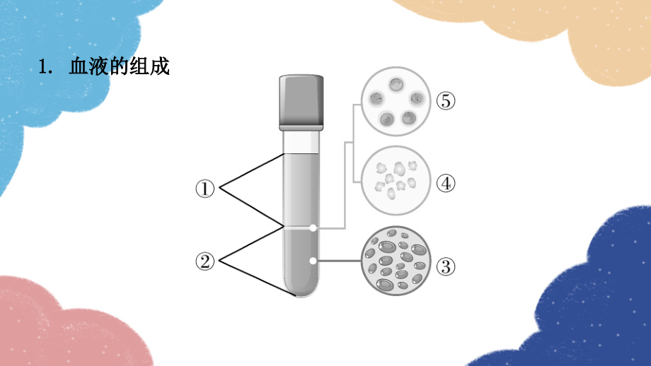 北师大版生物七年级下册 第9章 人体内的物质运输(重点图解) 课件(共16张PPT)_第2页