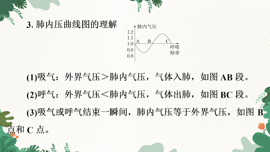 人教版生物七年级下册 第3章 人体的呼吸强化提升课件(共14张PPT)_第5页