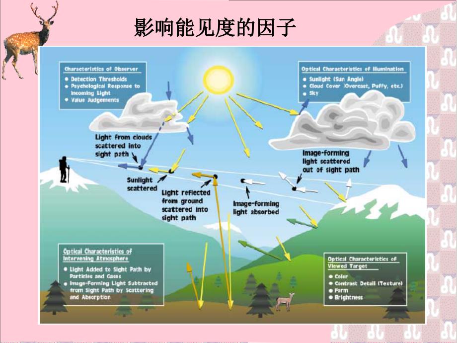 气象观测---能见度的观测_第3页