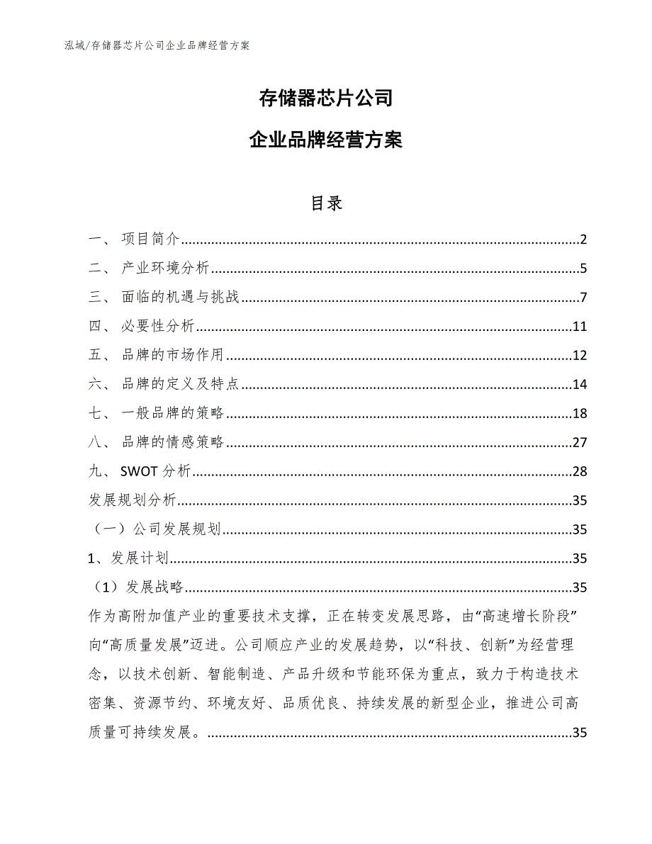 存储器芯片公司企业品牌经营方案_参考_第1页