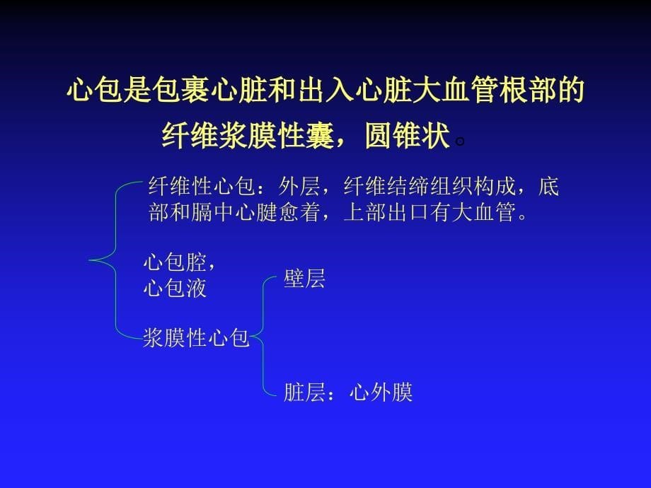 心脏解剖基础_第5页